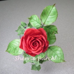 sherrie made rose n ivy 10-12-2016