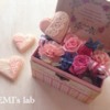 Remi's lab