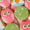 Owl Set: Photo and Cookies by Callye Alvarado