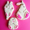 Funny Bunnies: Cookies and Photo by T Cupp Cookies