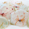 Finished Spider Cookies!: Cookies and Photo by Honeycat Cookies