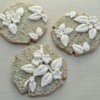 Pebbles and Flowers: Cookies and Photo by Belleissimo Cookies