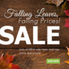 Falling Leaves Sale at Fancy Flours: Image Courtesy of Fancy Flours