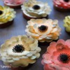 Wafer Paper Flowers - Final Set: Cookies and Photo by Yankee Girl Yummies