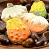 Bowl of Gourds: Cookies and Photo by Honeycat Cookies