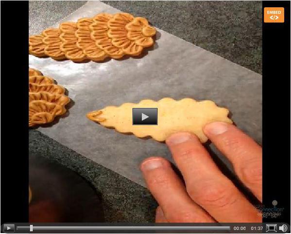 Brush Embroidery on Pine Cones - Best Video - Michelle west Sion