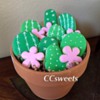 #2 - Cactus Cookies: By Carolyn at CCsweets