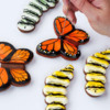 Simple Butterfly and Caterpillar Cookies: Cookies and Photos by Lisa Snyder