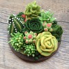#7 - Handpiped Succulents and Cacti: By RH. BAKE