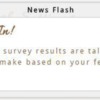 Site Survey Flash