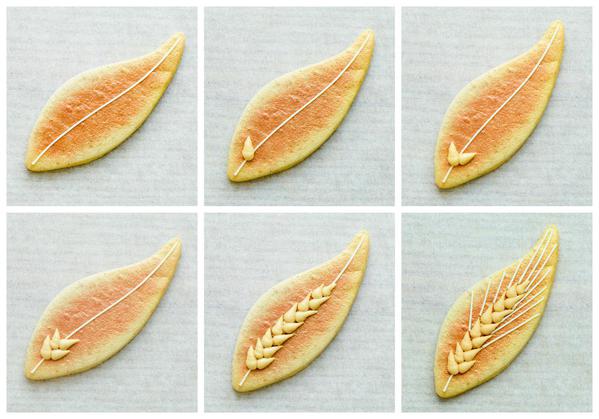 Corn Collage