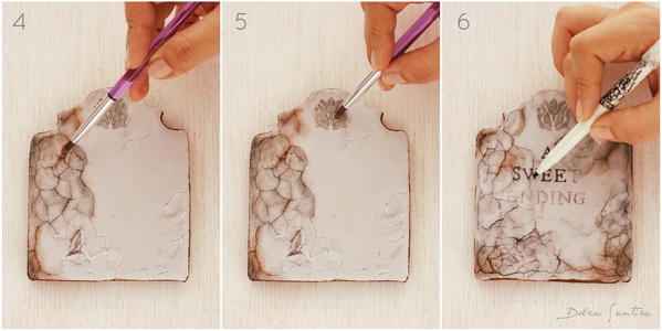 Steps 4, 5, and 6: Cookies and Photos by Dolce Sentire