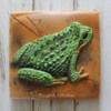 Frog Cookie: Cookie and Photo by Amy Clough of Clough'D 9 Cookies