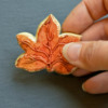 Leaf with Painted Lustre on Edges: Cookie and Photo by Honeycat Cookies
