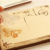 Stamping Iced Cookie with Butterfly Stamp: Photo and Cookie by Dolce Sentire