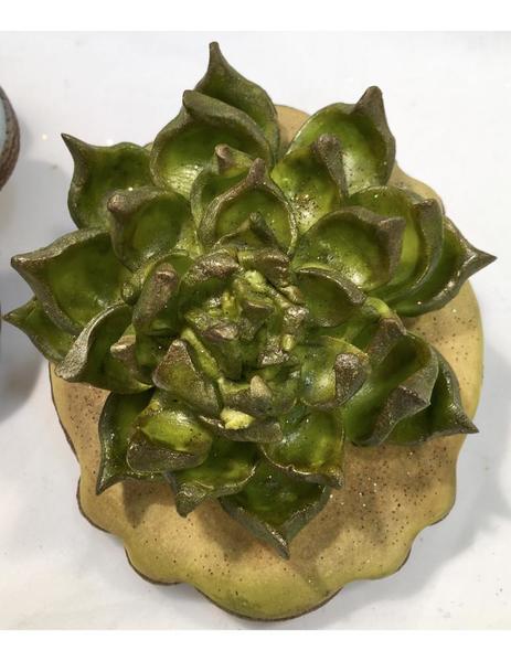 modeling chocolate succulent