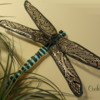 #10 - Dragonfly: By Ryoko ~Cookie Ave.