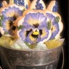 Pansy and Hyacinth Bucket: Cookies and Photo by Susan Crane