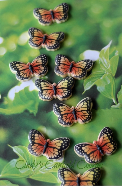 #5 - Butterflies by Cindy Velt