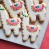 Llamas: Cookies and Photo by Anne Yorks