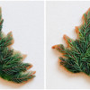 Step 2c - Pipe Light Pine Needles: Cookie and Photos by Aproned Artist