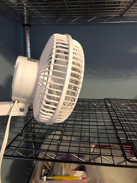 clamp fan to dry royal icing