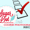 Sugar Dot Surveys Cookie Photography Recap Banner: Graphic Design by Julia M Usher