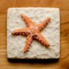 Sea Star Beach Cookie - Where We're Headed!: Cookie and Photo by Aproned Artist