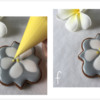 Steps 2e and 2f - Pipe Dots in Cookie Center: Design, Cookie, and Photos by Manu