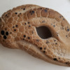 Carved Dinosaur Head Before Airbrushing: Cookie and Photo by Timbo Sullivan