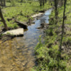 Creek on Three Spring Farms: Photo by Julia M Usher