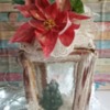 Christmas Cookie Lantern: Cookie and Photo by Olivera Vlah