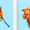 Step 2k - Add Brush Embroidery to Curled Leaf Sections: Cookies and Photos by Aproned Artist