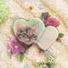 #6 - Seven Centimeters of Sweet Cat: By Wypiekane Opowieści