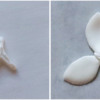 Step 1e - Assemble Three Oval Outer Petals: Photos by Aproned Artist