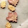 Autumn Leaves: Cookies and Photo by mintlemonade (cookie crumbs)