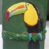 Toucan: Cookie and Photo by Elke Hoelzle