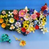 #1 - United Flowers of America: By Zeena