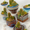 #7 - 3-D Cookie Container Garden: By Julia M. Usher