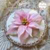 Pretty in Pink: Cookie and Photo by Teri Pringle Wood