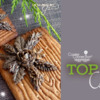 Top 10 Cookies Banner - December 18, 2021: Cookies and Photo by Icingsugarkeks; Graphic Design by Julia M Usher