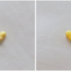 Step 5a - Pipe and Shape Conversation Hearts: Photos by Aproned Artist