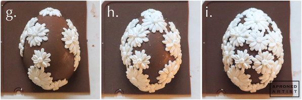 Steps 1g, 1g, and 1i - Complete Daisy Egg Transfer