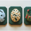 Floral Easter Egg Set: Cookies and Photo by Aproned Artist