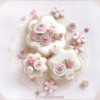 Small Floral Set: Cookies and Photo by Evelindecora