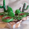 #5 - Cactus y Suculentas: By Dora Lilia