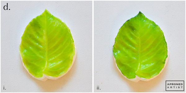 Step 1d - Paint Green Leaf
