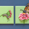 Monarch Caterpillar and Butterfly Cookies - Where We're Headed!: Cookies and Photo by Aproned Artist