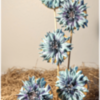 #9 - 3-D Cornflowers in Full Bloom Stage of Growth: By EAC