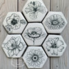 Black and White Botanicals: Cookies and Photo by Cookies on Cambridge